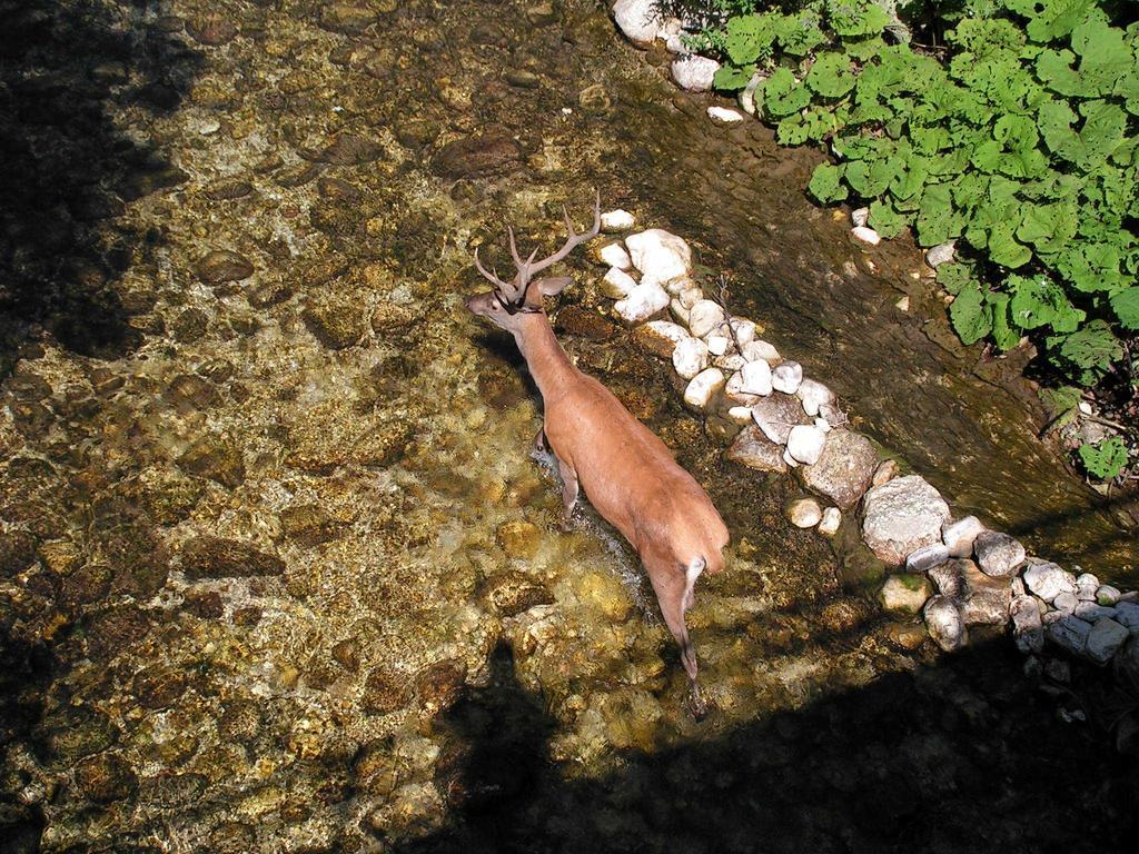 Hotel Il Vecchio Pescatore Villetta Barrea Buitenkant foto